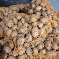 Prodej brambor Zlín