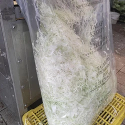 Výroba kysaného zelí